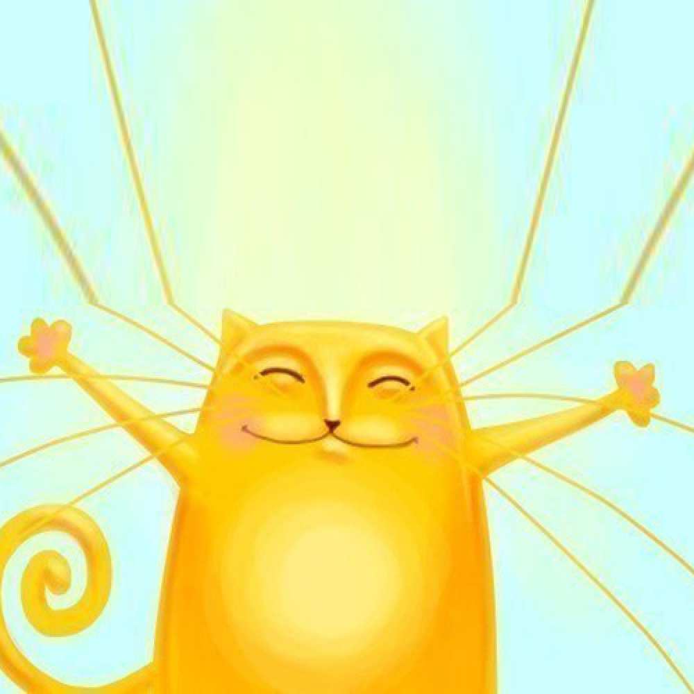 Открытка на каждый день с именем, Миша Хочу обнять тебя солнечный обнимашечный кот Прикольная открытка с пожеланием онлайн скачать бесплатно 