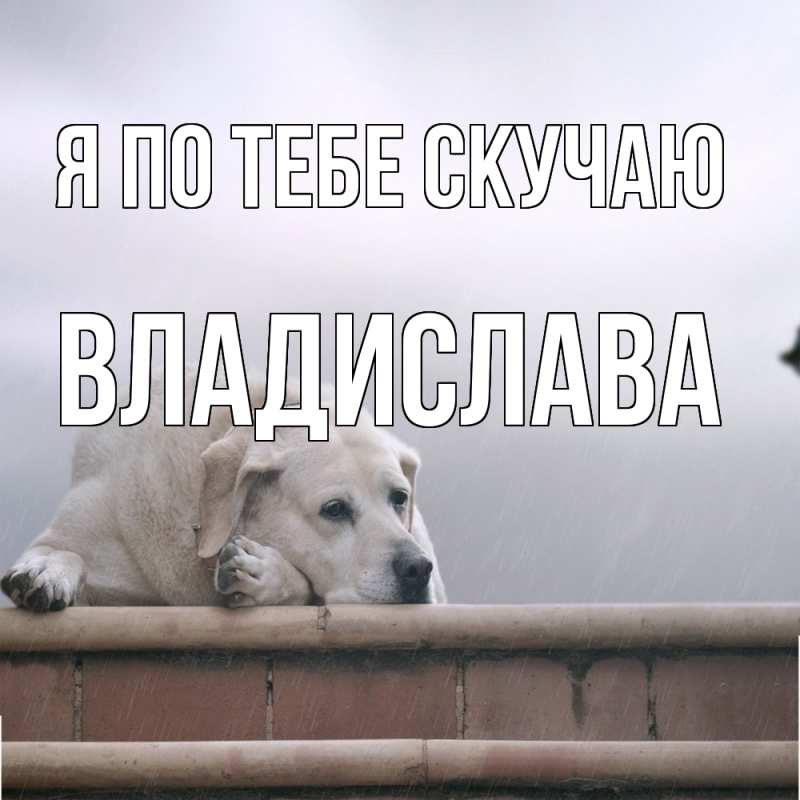 Картинка Я по тебе скучаю, Владислава