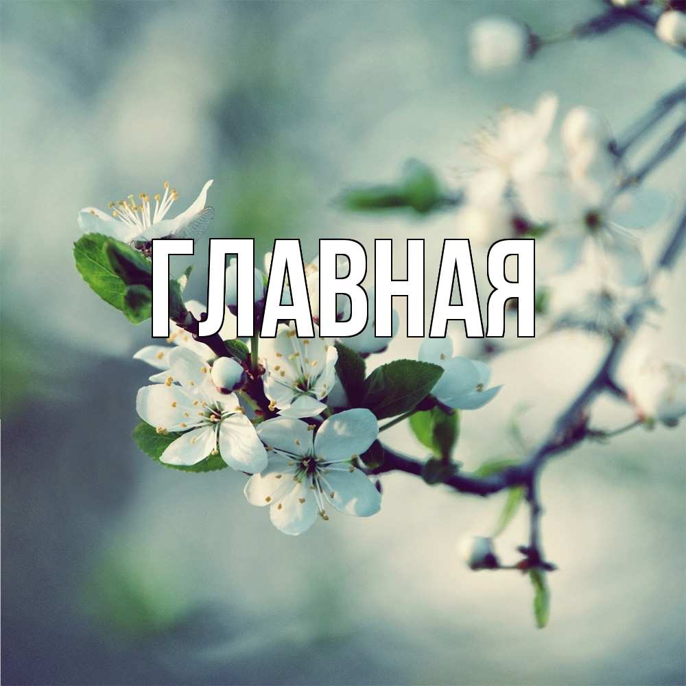 Открытка на каждый день с именем, настя Главная весна Прикольная открытка с пожеланием онлайн скачать бесплатно 