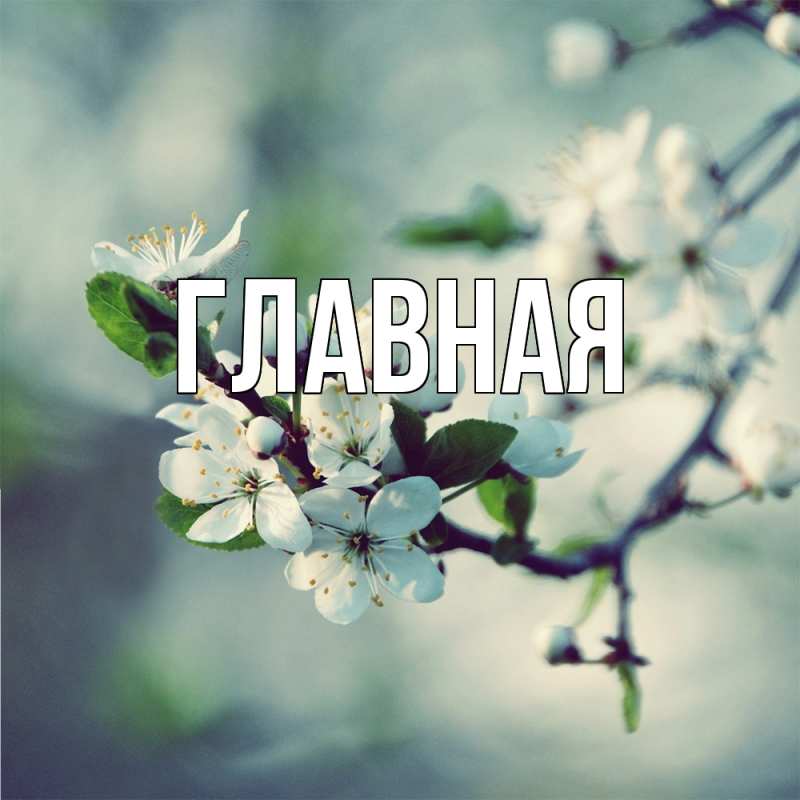 Картинка  с именем , настя