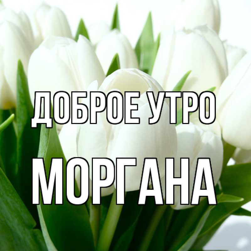 Картинка Доброе утро, Моргана