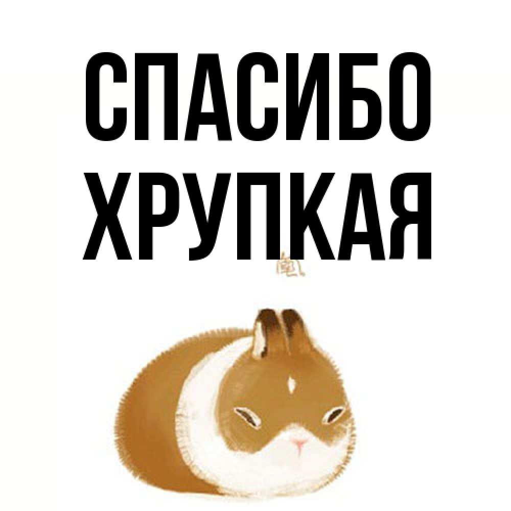 Открытка на каждый день с именем, Хрупкая Спасибо коричнево белый домашний питомец Прикольная открытка с пожеланием онлайн скачать бесплатно 