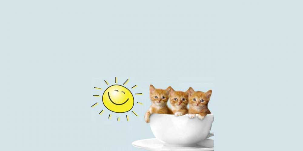 Открытка на каждый день с именем, Дебора Доброе утро котята Прикольная открытка с пожеланием онлайн скачать бесплатно 