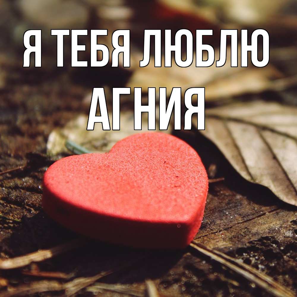 Открытка на каждый день с именем, Агния Я тебя люблю листья деревье 4 Прикольная открытка с пожеланием онлайн скачать бесплатно 