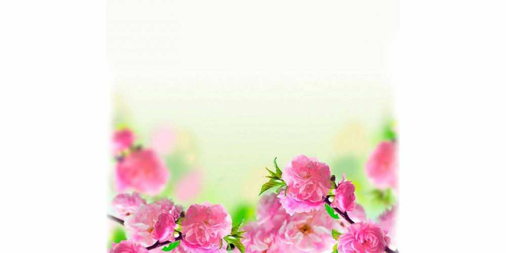Открытка на каждый день с именем, Кренделёк Удачного дня цветы Прикольная открытка с пожеланием онлайн скачать бесплатно 