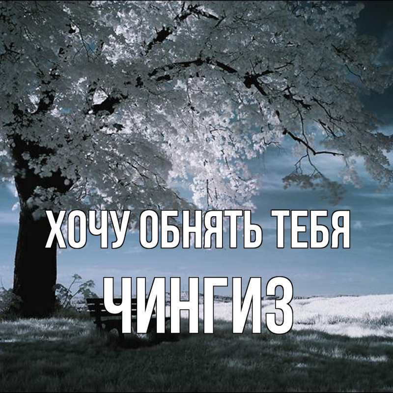 Картинка Хочу обнять тебя, Чингиз