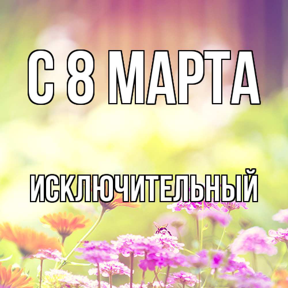 Открытка на каждый день с именем, Исключительный C 8 МАРТА цветы весна Прикольная открытка с пожеланием онлайн скачать бесплатно 