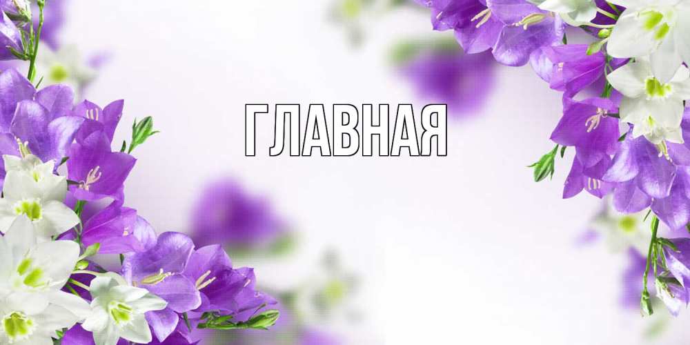 Открытка на каждый день с именем, настя Главная открытка на день рождения с сиреневыми цветами Прикольная открытка с пожеланием онлайн скачать бесплатно 