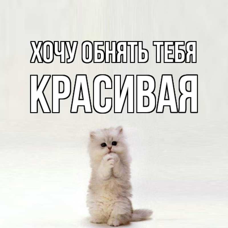 Картинка Хочу обнять тебя, Красивая