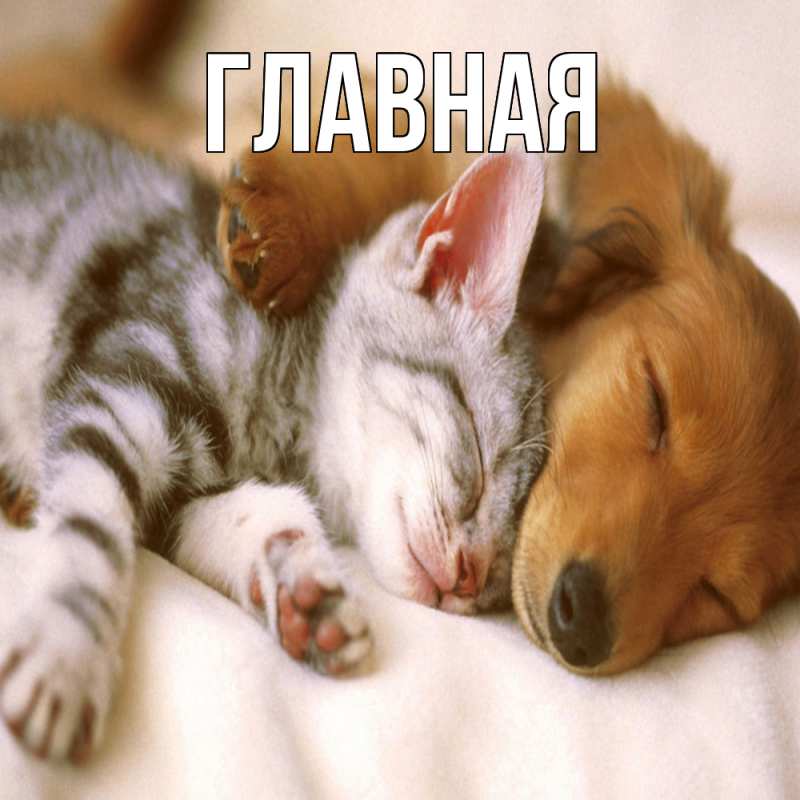 Картинка  с именем , Марьяна