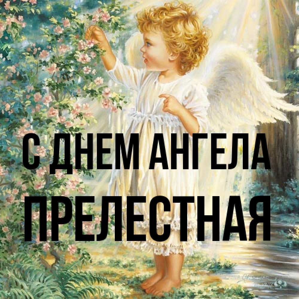 Открытка на каждый день с именем, Прелестная С днем ангела собирает цветы Прикольная открытка с пожеланием онлайн скачать бесплатно 