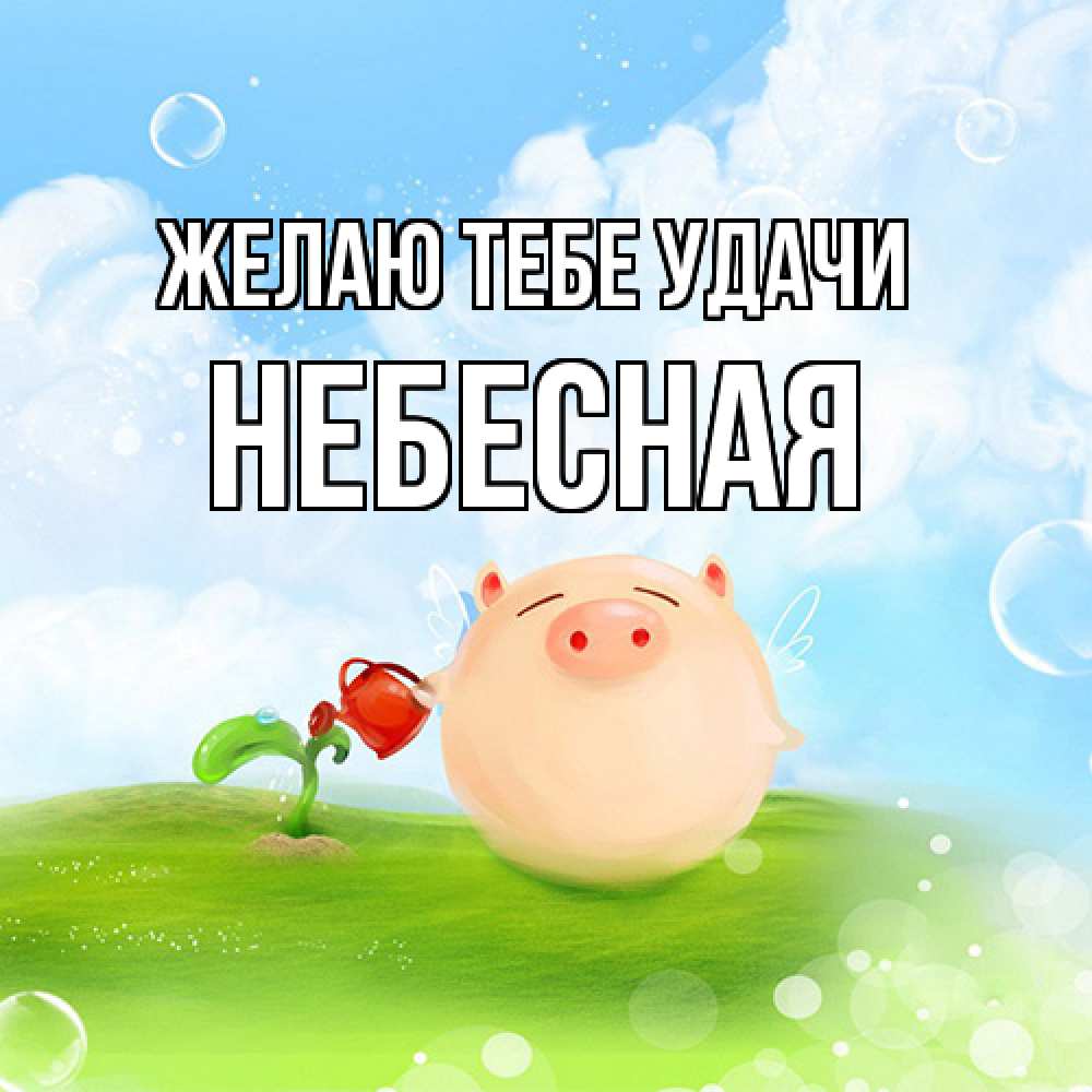 Открытка на каждый день с именем, небесная Желаю тебе удачи поросенок поливает цветок. летнее настроение Прикольная открытка с пожеланием онлайн скачать бесплатно 