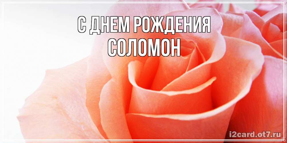 Открытка на каждый день с именем, Соломон С днем рождения розы для поздравления с днем рождения Прикольная открытка с пожеланием онлайн скачать бесплатно 