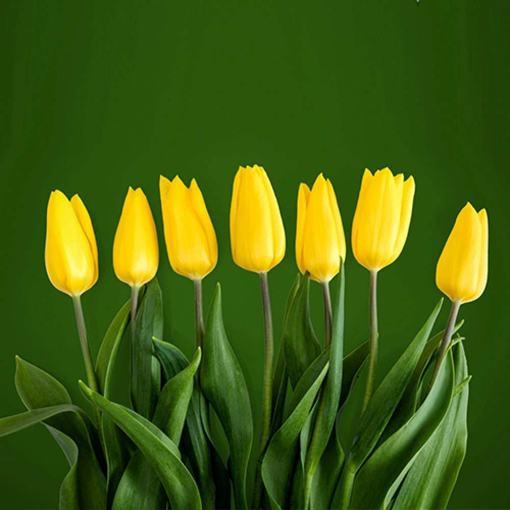 Открытка на каждый день с именем, Эвелина C 8 МАРТА желтого цвета 3 Прикольная открытка с пожеланием онлайн скачать бесплатно 