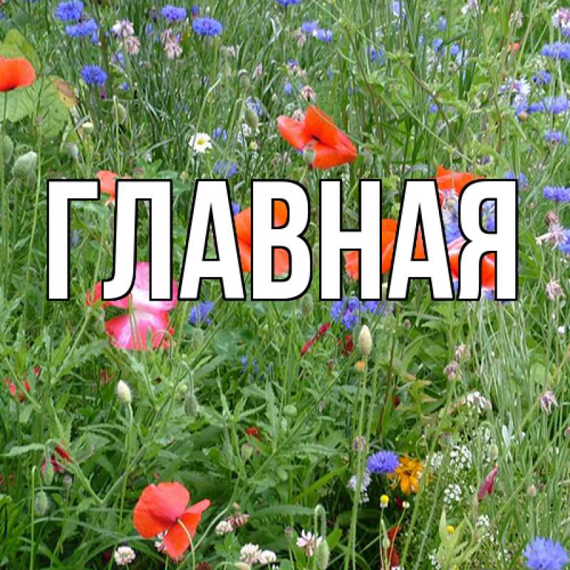 Картинка  с именем , настя