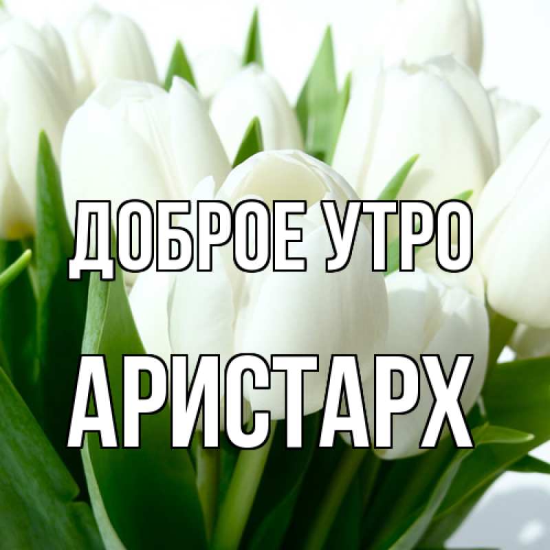 Картинка Доброе утро, Аристарх