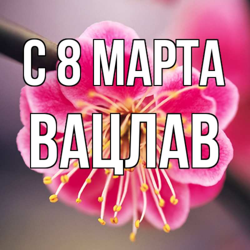 Картинка C 8 МАРТА, Вацлав