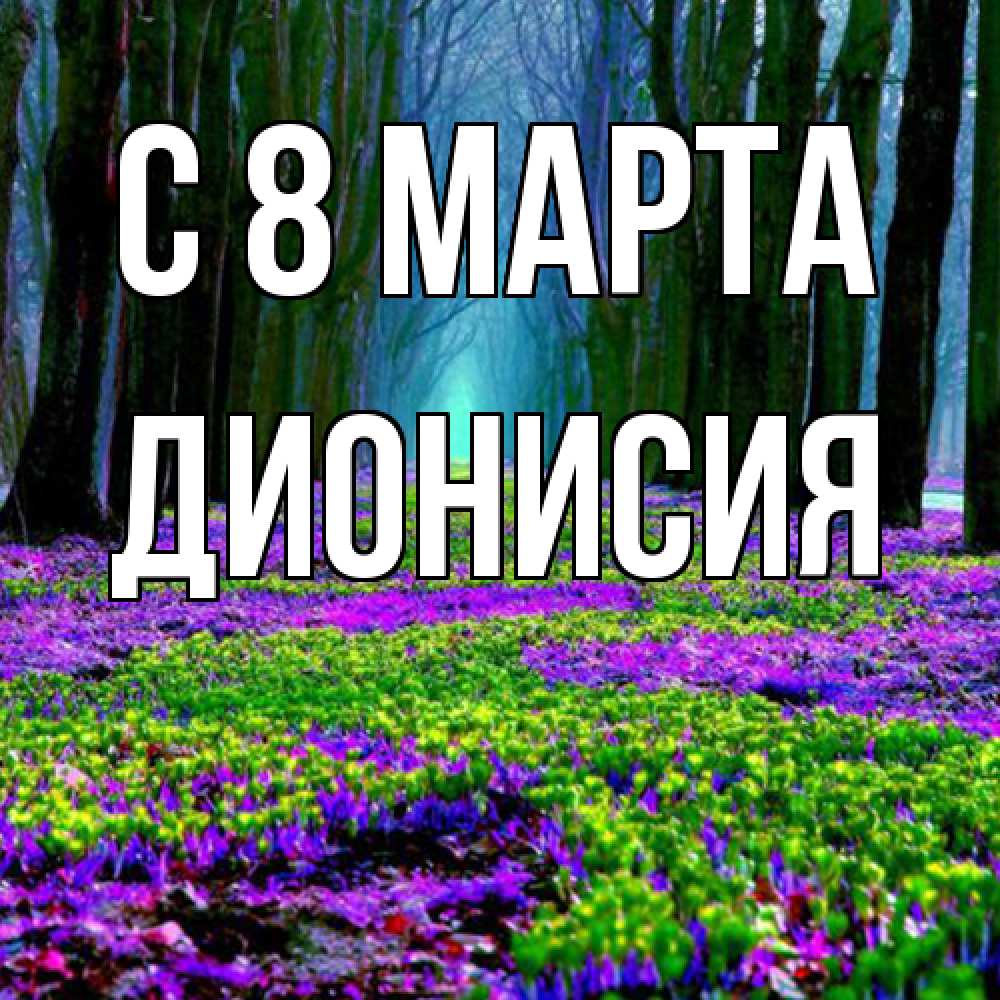 Открытка на каждый день с именем, Дионисия C 8 МАРТА фиолетовые цветы в лесу 1 Прикольная открытка с пожеланием онлайн скачать бесплатно 