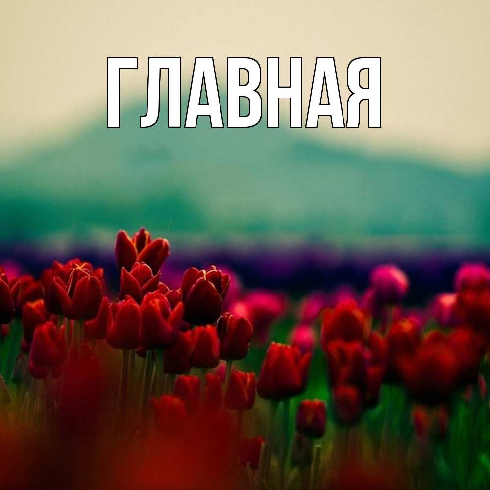 Открытка на каждый день с именем, Анна Главная тюльпаны 4 Прикольная открытка с пожеланием онлайн скачать бесплатно 