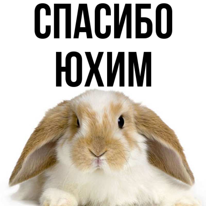 Картинка Спасибо, Юхим