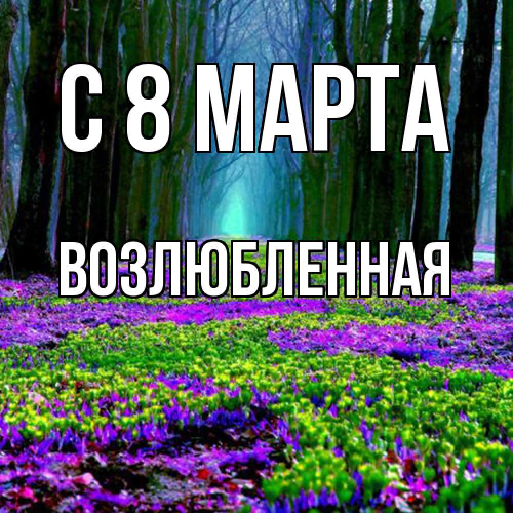 Открытка на каждый день с именем, Возлюбленная C 8 МАРТА фиолетовые цветы в лесу 1 Прикольная открытка с пожеланием онлайн скачать бесплатно 