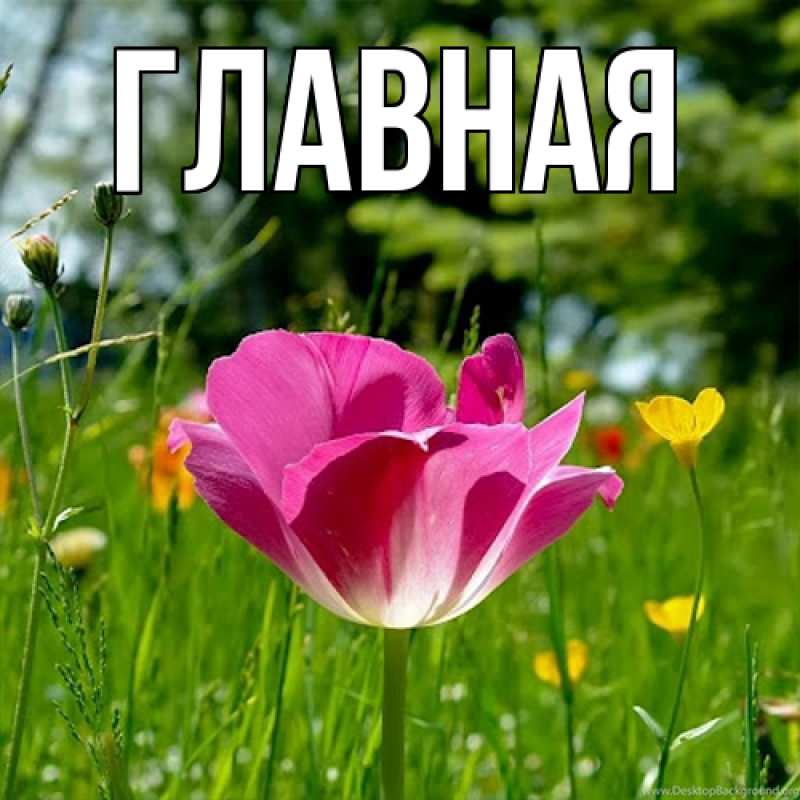 Картинка  с именем , Анна