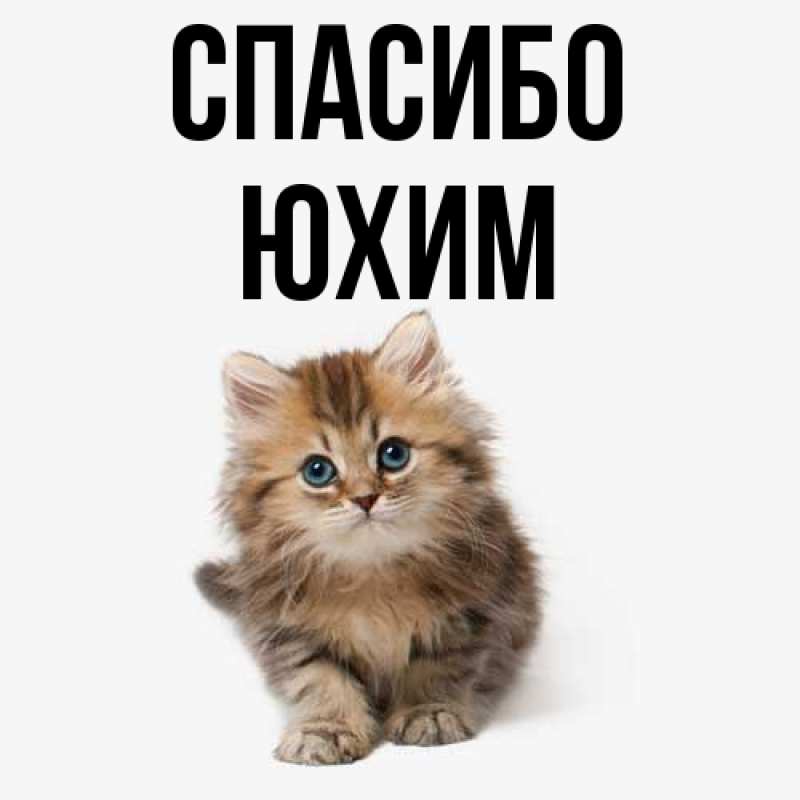 Картинка Спасибо, Юхим