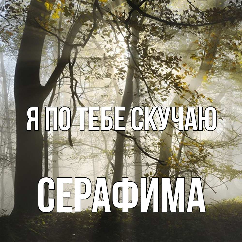 Открытка на каждый день с именем, Серафима Я по тебе скучаю грустно Прикольная открытка с пожеланием онлайн скачать бесплатно 
