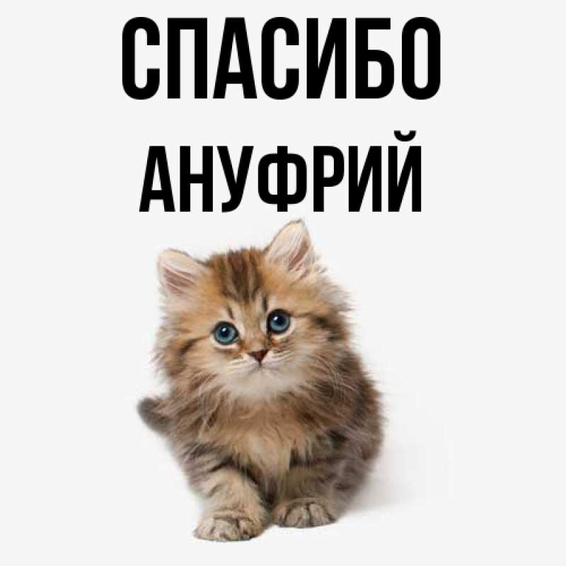 Картинка Спасибо, Ануфрий
