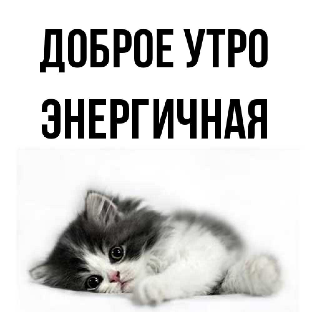 Открытка на каждый день с именем, Энергичная Доброе утро кот лапки Прикольная открытка с пожеланием онлайн скачать бесплатно 
