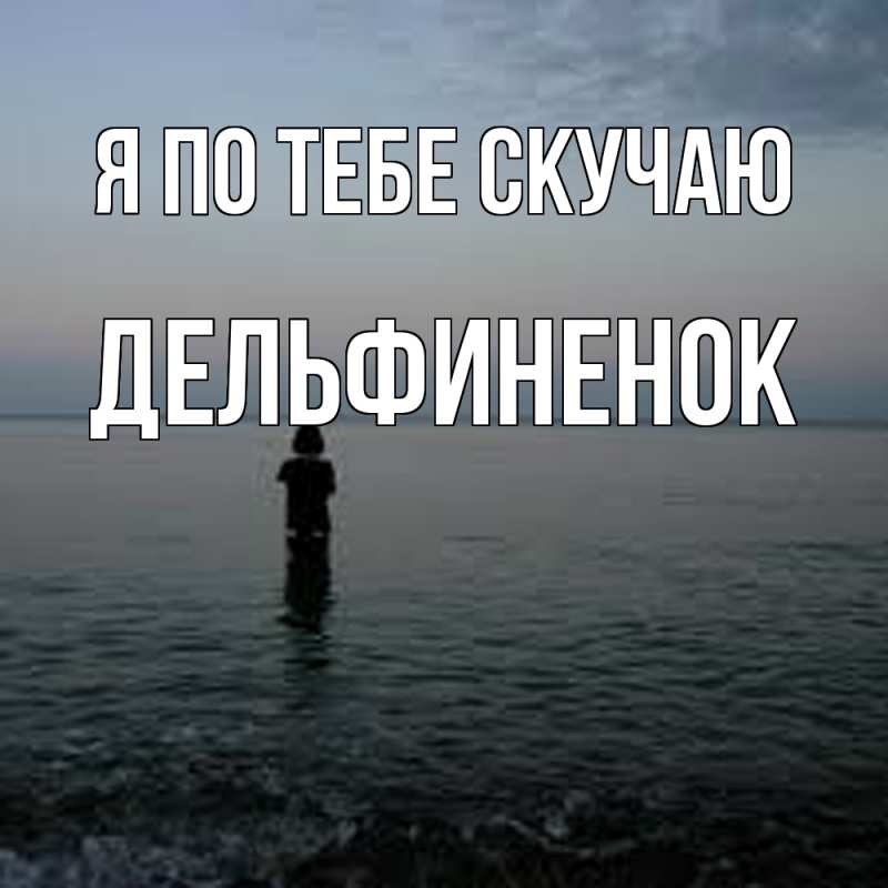 Картинка Я по тебе скучаю, дельфиненок