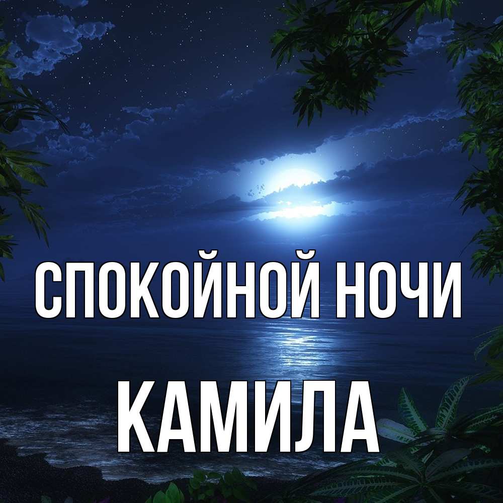 Открытка на каждый день с именем, Камила Спокойной ночи тропический остров Прикольная открытка с пожеланием онлайн скачать бесплатно 