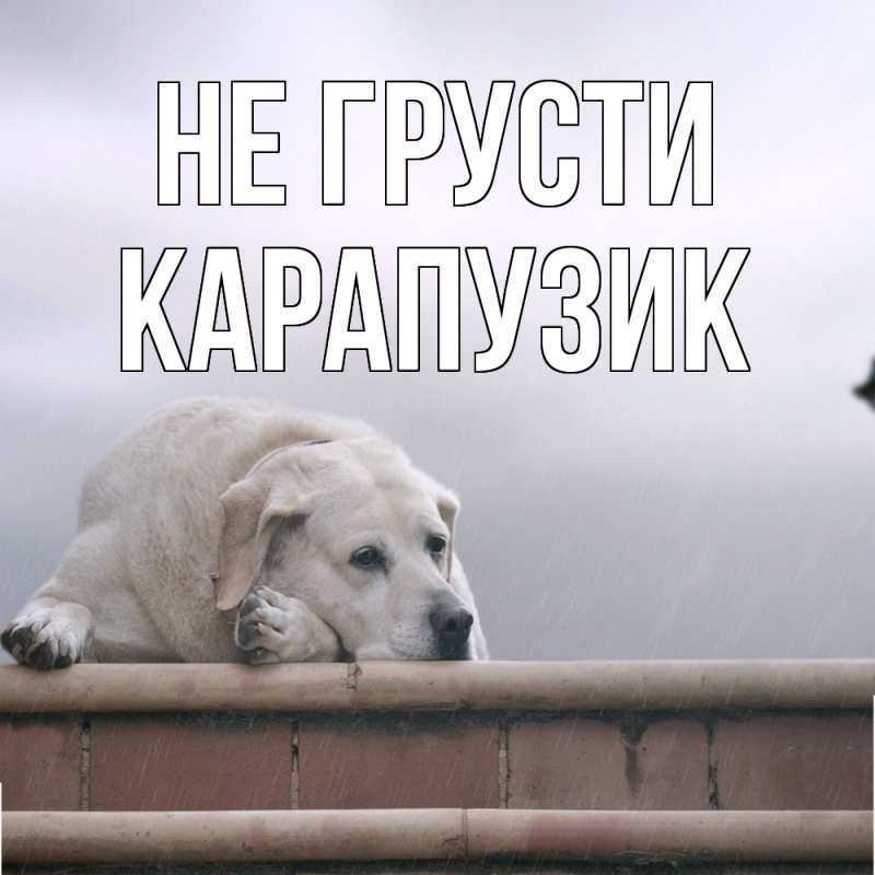 Картинка Не грусти, карапузик