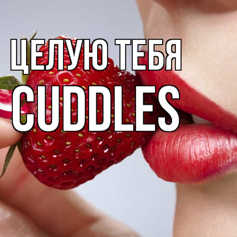 Картинка Целую тебя, Cuddles