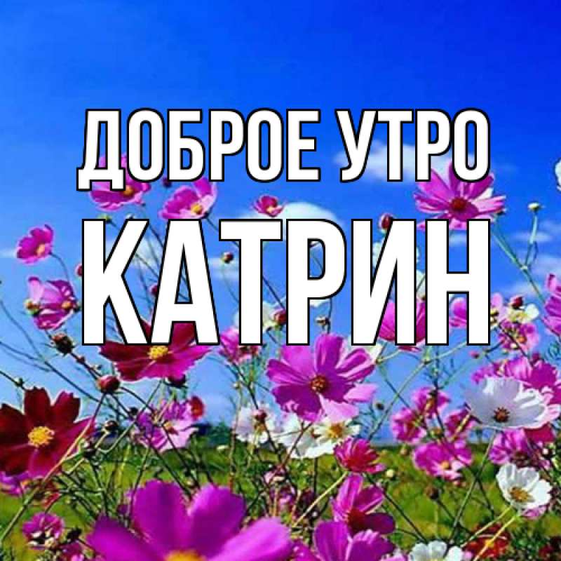 Картинка Доброе утро, Катрин