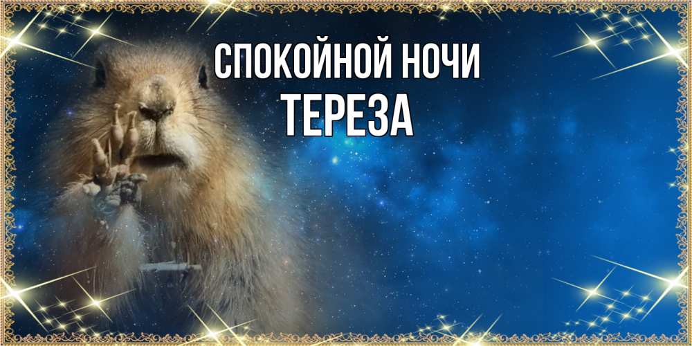 Открытка на каждый день с именем, Тереза Спокойной ночи спокойной ночи сладких снов Прикольная открытка с пожеланием онлайн скачать бесплатно 