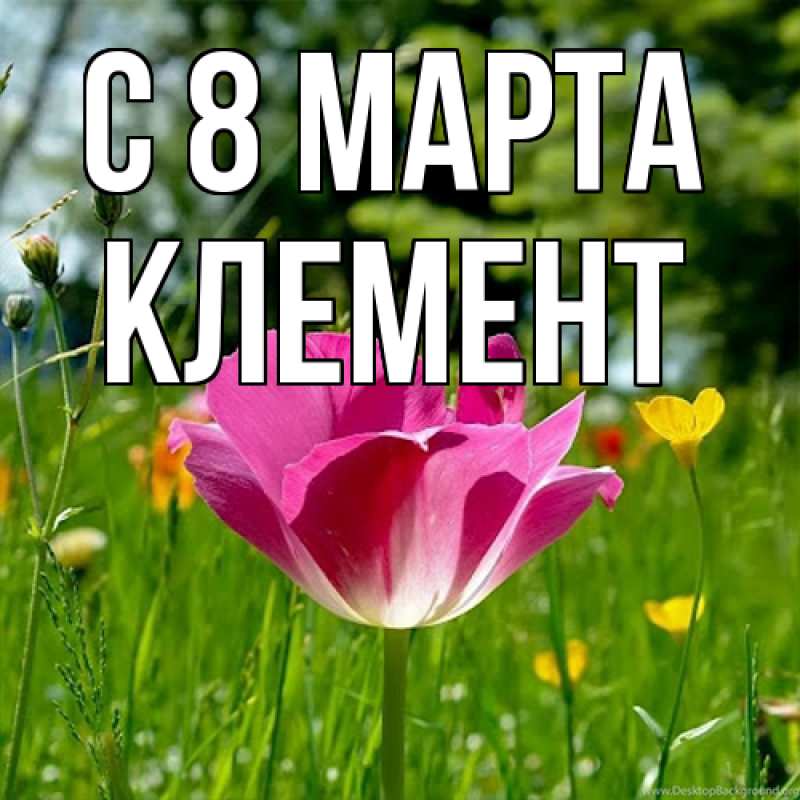 Картинка C 8 МАРТА, Клемент