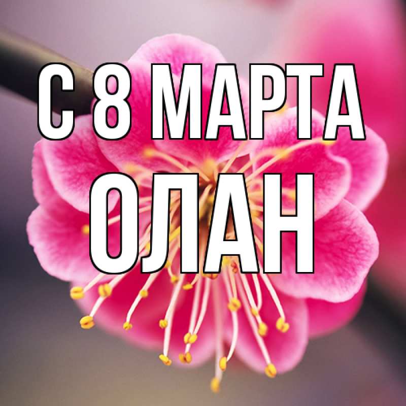 Картинка C 8 МАРТА, Олан