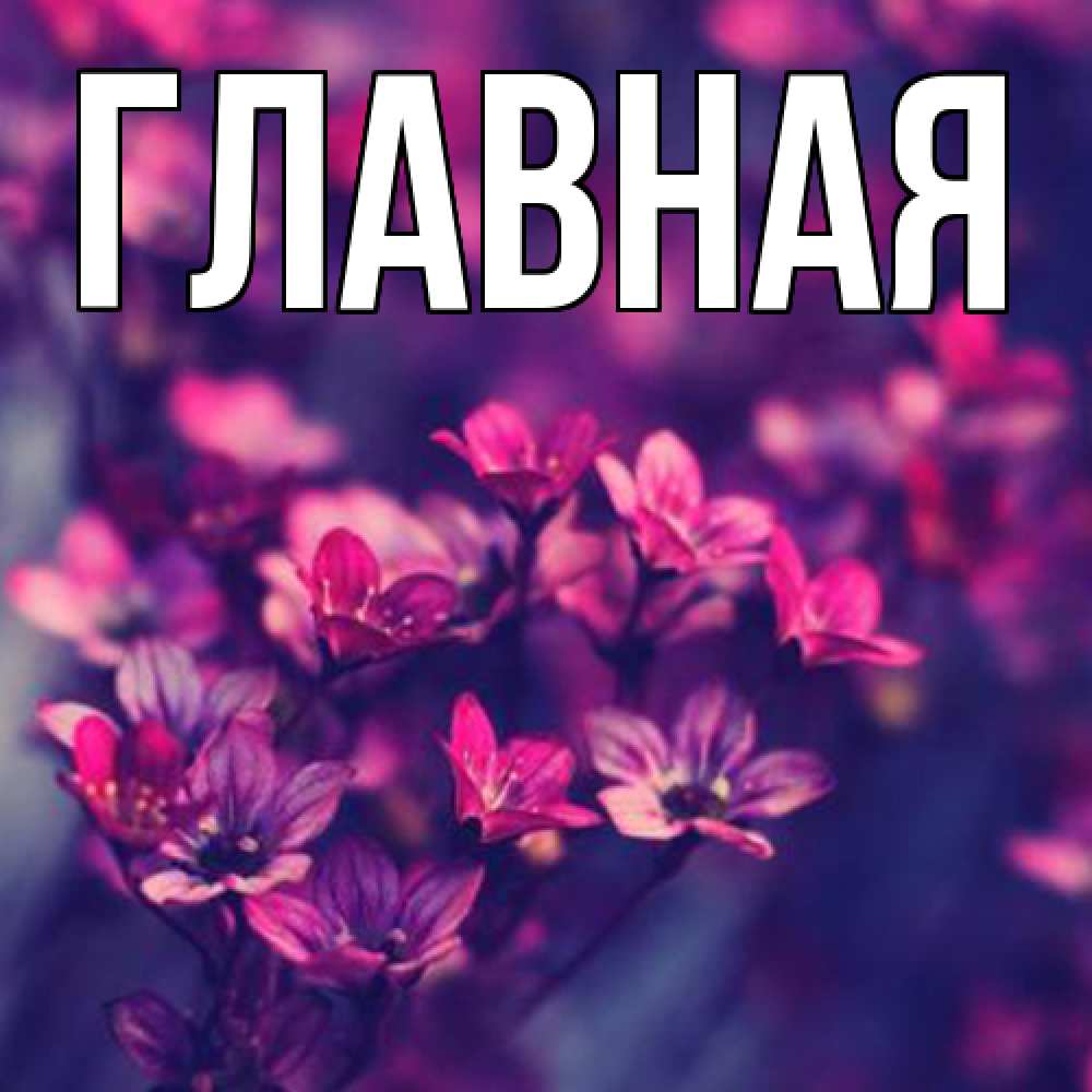 Открытка на каждый день с именем, настя Главная небольшие цветы 1 Прикольная открытка с пожеланием онлайн скачать бесплатно 