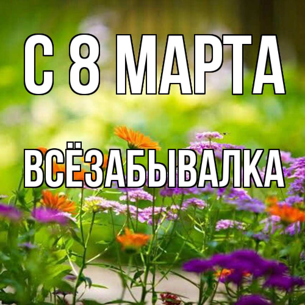 Открытка на каждый день с именем, Всёзабывалка C 8 МАРТА цветы Прикольная открытка с пожеланием онлайн скачать бесплатно 