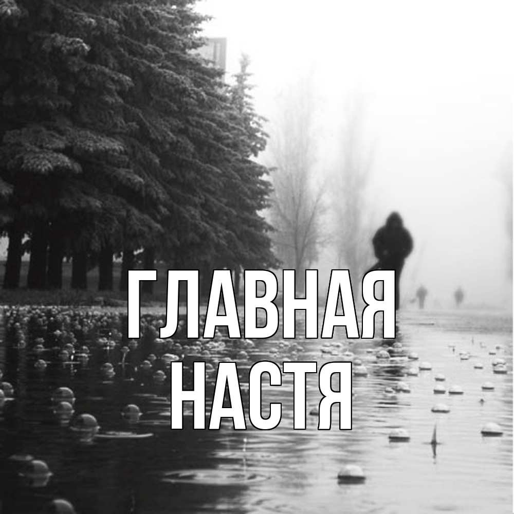 Открытка на каждый день с именем, настя Главная улица под дождем Прикольная открытка с пожеланием онлайн скачать бесплатно 