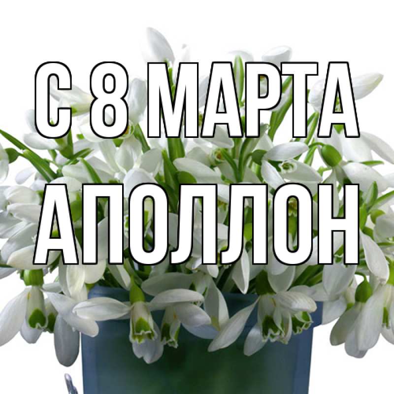 Картинка C 8 МАРТА, Аполлон