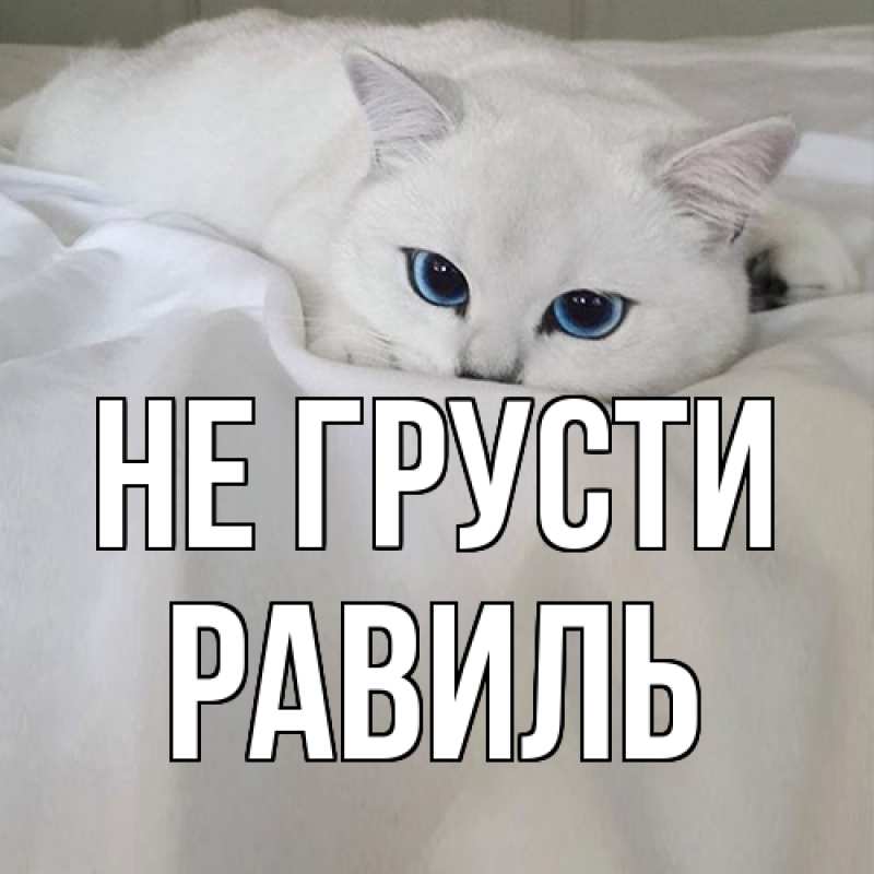 Картинка Не грусти, равиль