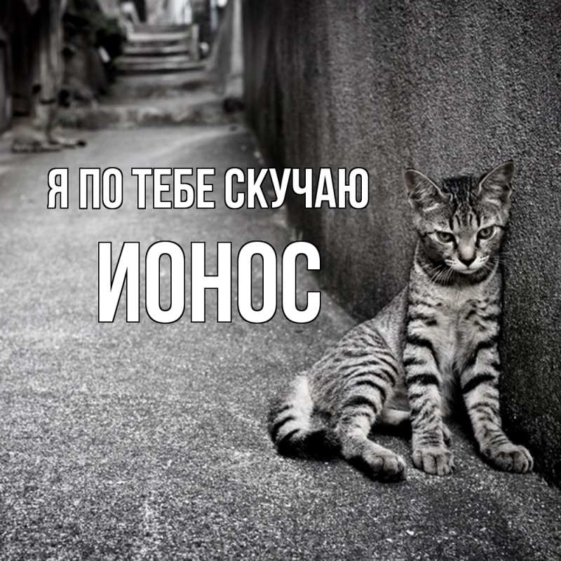 Картинка Я по тебе скучаю, Ионос