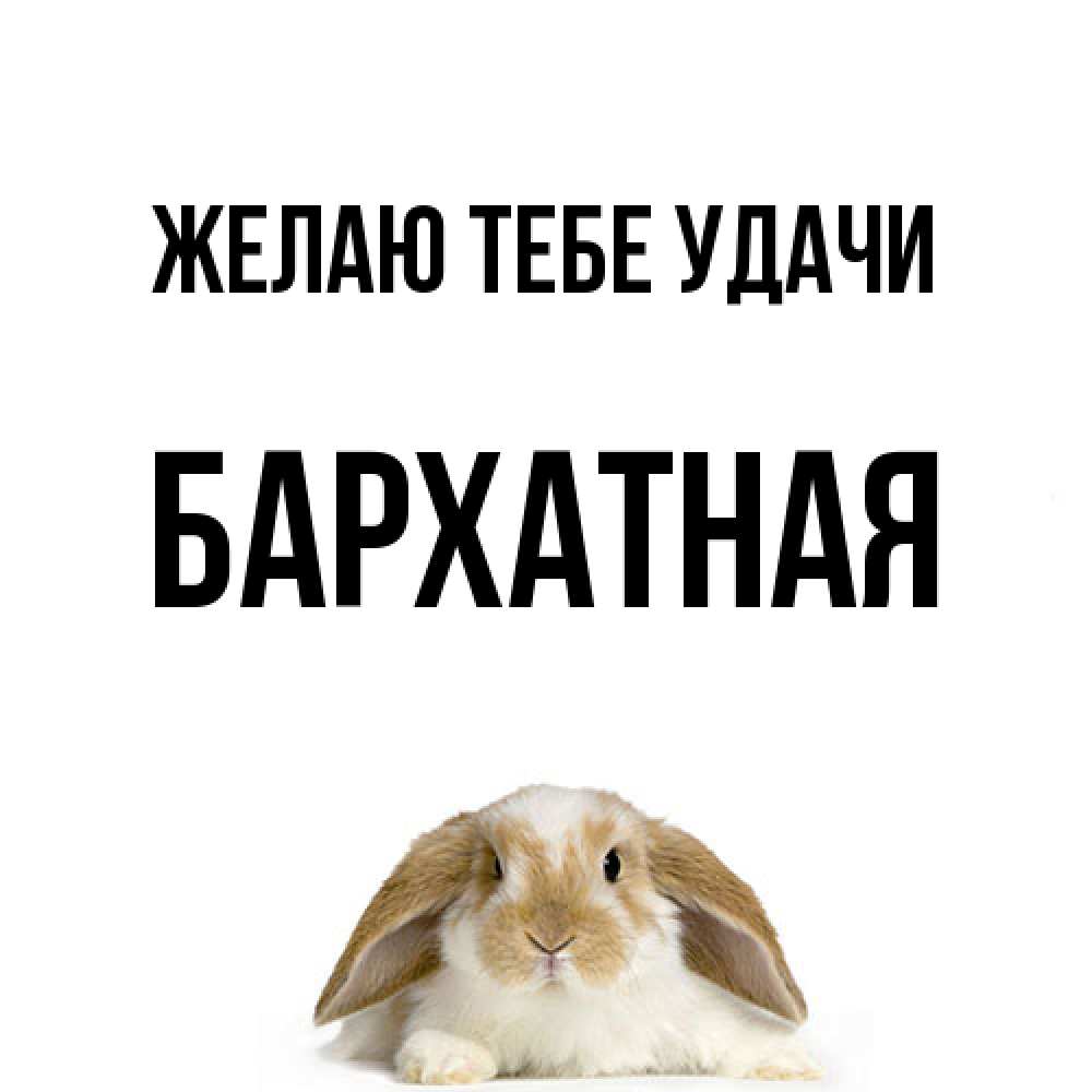 Открытка на каждый день с именем, Бархатная Желаю тебе удачи открытки с произвольным текстом который можно вставить в открытку и создать ее самостоятельно бесплатно онлайн Прикольная открытка с пожеланием онлайн скачать бесплатно 