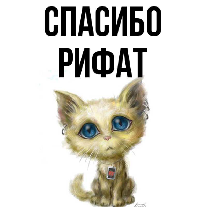 Картинка Спасибо, Рифат