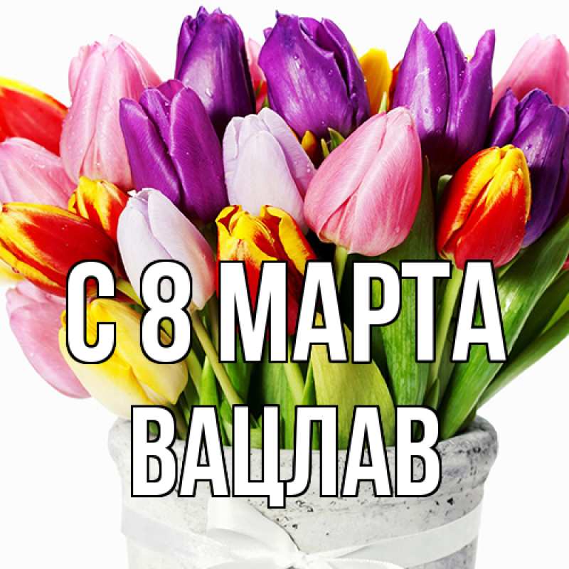 Картинка C 8 МАРТА, Вацлав