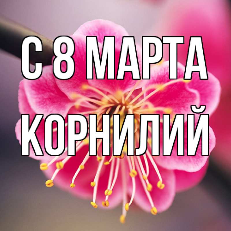 Картинка C 8 МАРТА, Корнилий