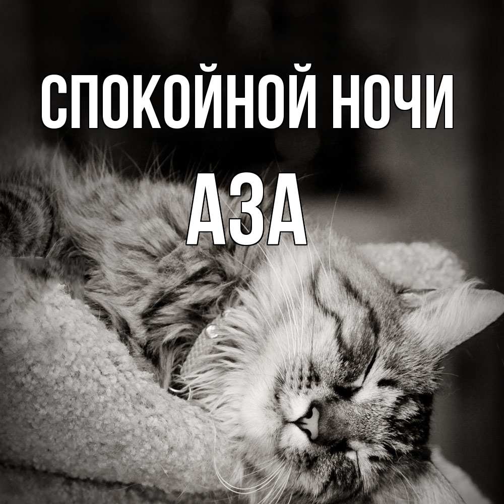 Открытка на каждый день с именем, Аза Спокойной ночи котярик пушистый Прикольная открытка с пожеланием онлайн скачать бесплатно 