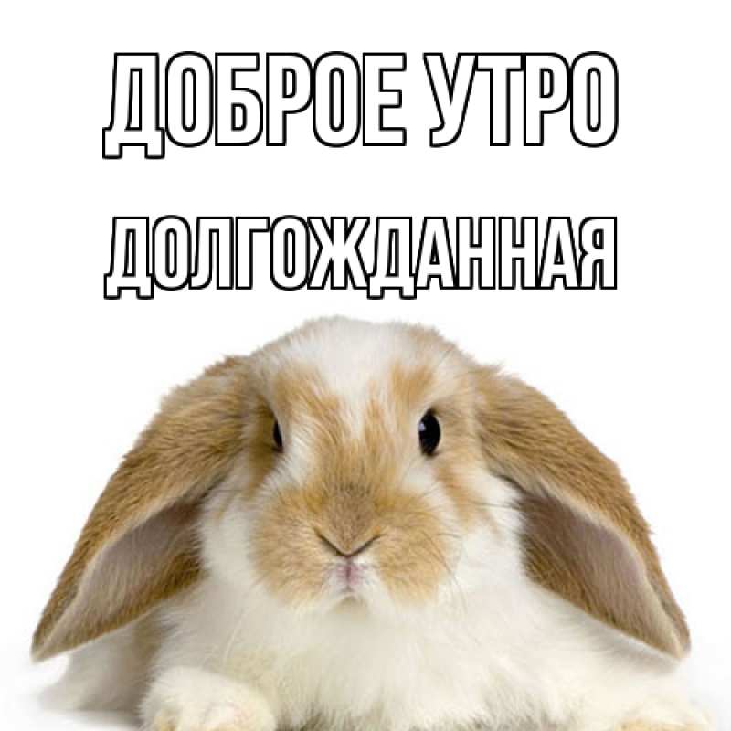 Картинка Доброе утро, Долгожданная